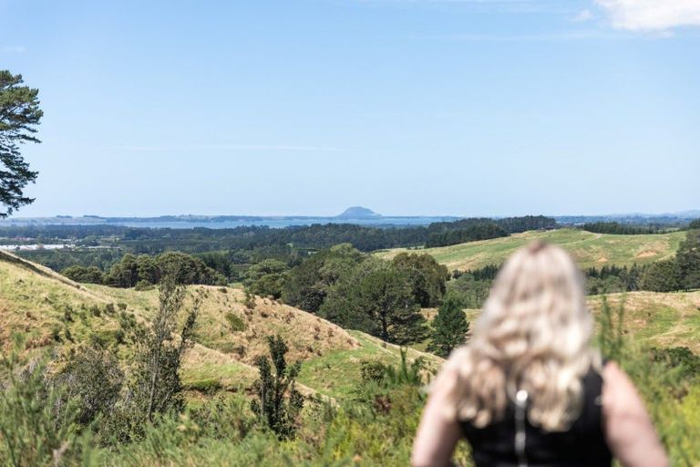 Photo of property in 425 Hot Springs Road, Tahawai, Katikati, 3178