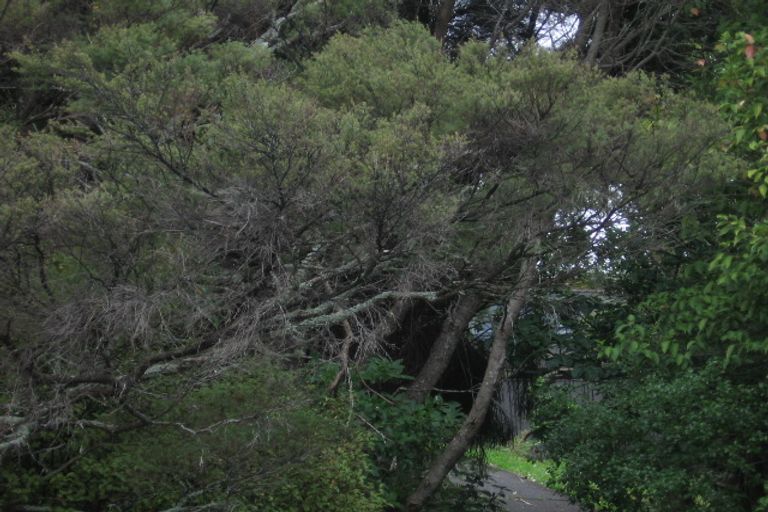 Photo of property in 8 Sea Vista Avenue, Beach Haven, Auckland, 0626