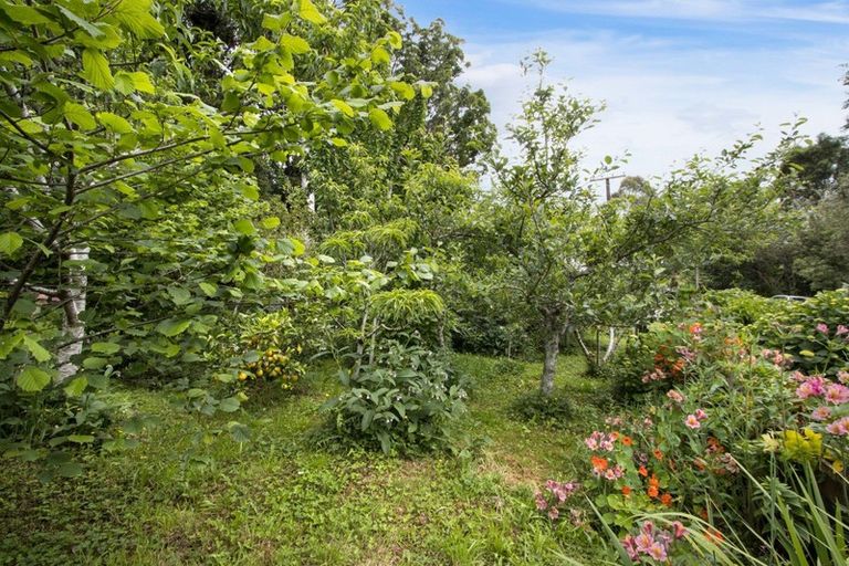 Photo of property in 48 Goodall Road, Whakamarama, Tauranga, 3179