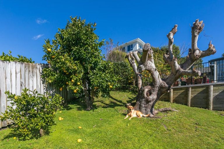 Photo of property in 223 Tukere Drive, Whangamata, 3620