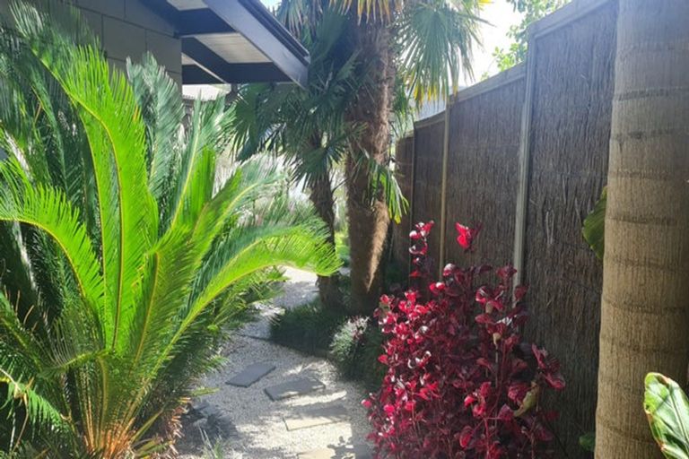 Photo of property in 21 Moana Drive, Tanners Point, Katikati, 3177