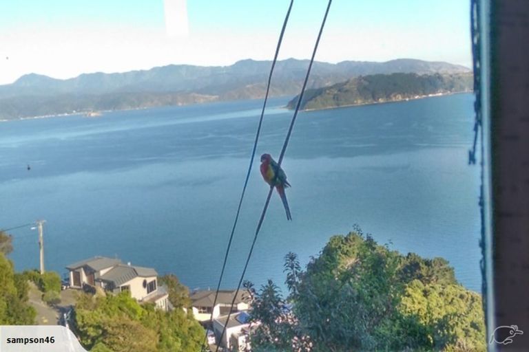 Photo of property in 140 Nicholson Road, Khandallah, Wellington, 6035