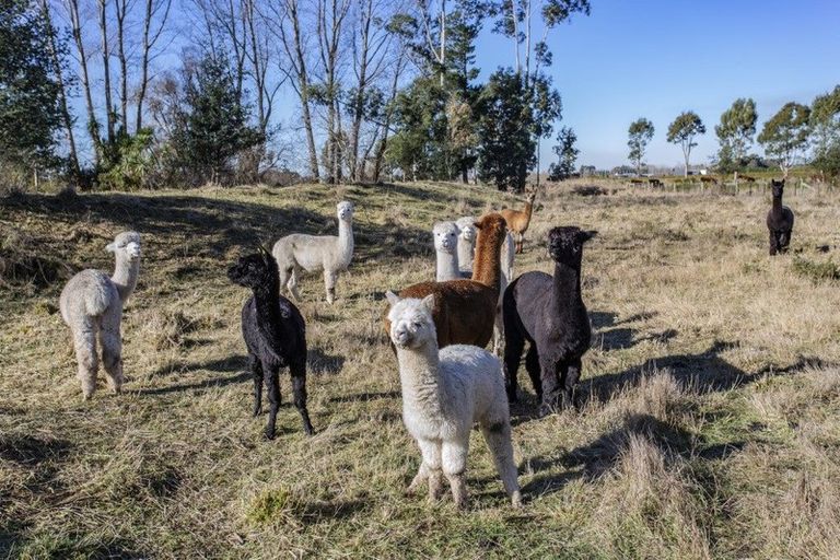 Photo of property in 86 Barkers Road, Ohoka, Rangiora, 7475