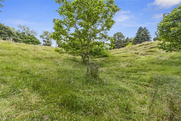 Photo of property in 488 Tapuwae Road, Maniaiti / Benneydale, Te Kuiti, 3987