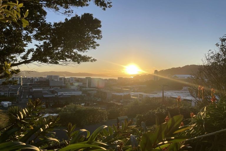 Photo of property in 55 Hankey Street, Mount Cook, Wellington, 6011
