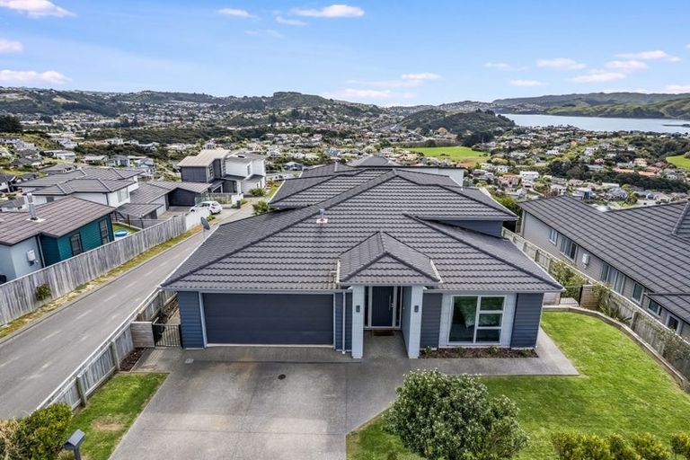 Photo of property in 105 Endeavour Drive, Whitby, Porirua, 5024