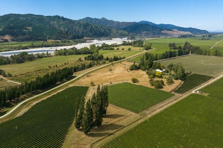 Photo of property in 145 Giffords Road, Rapaura, Blenheim, 7273