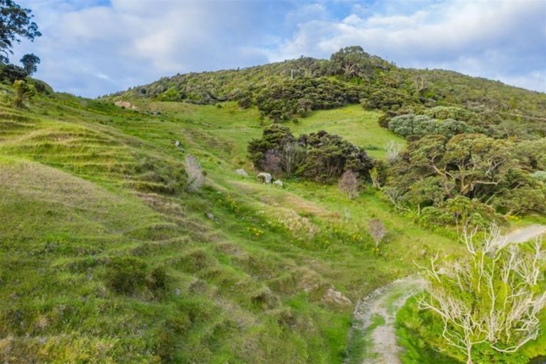 Photo of property in 2509 Whangarei Heads Road, Whangarei Heads, 0174