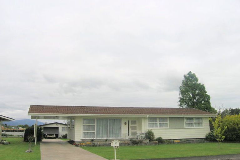 Photo of property in 17 Mount Avenue, Te Aroha, 3320