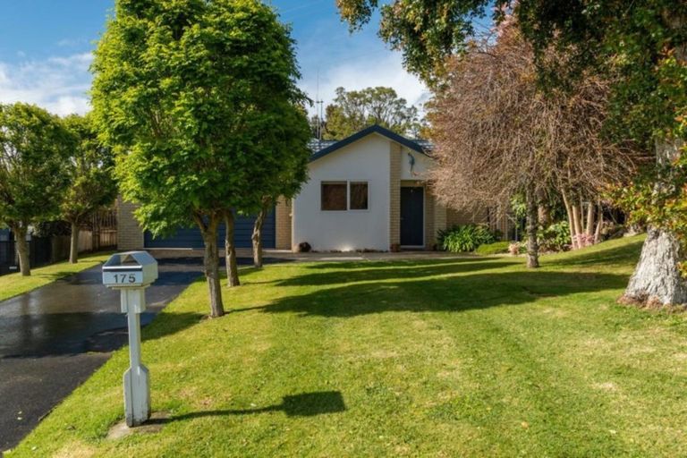 Photo of property in 175 Sapphire Drive, Hairini, Tauranga, 3112