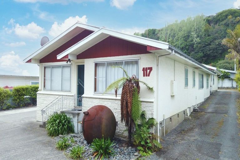 Photo of property in 117 Milton Road, Bluff Hill, Napier, 4110