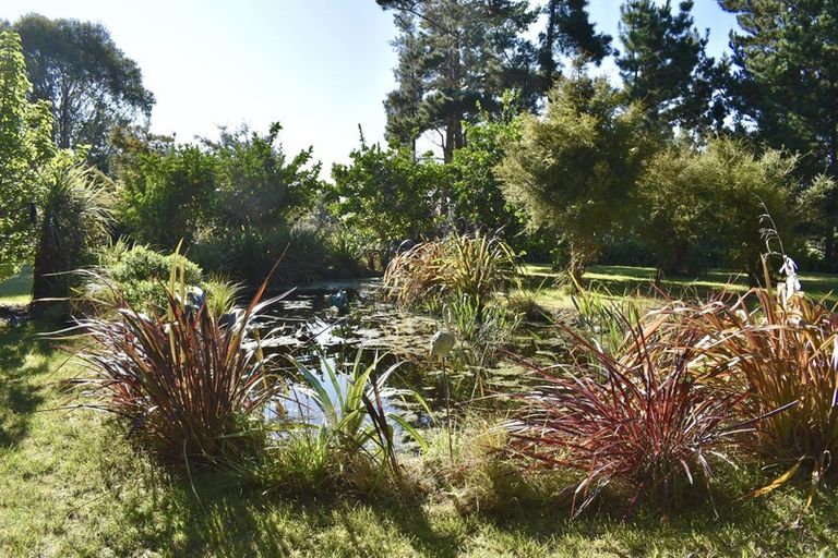 Photo of property in 207 Te Hapua Road, Te Horo, Otaki, 5581