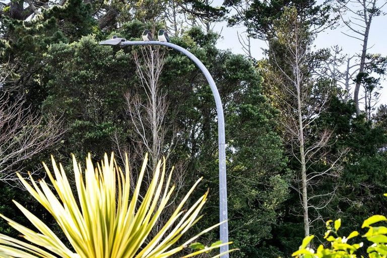 Photo of property in 26a Kaimata Street, Brooklands, New Plymouth, 4310