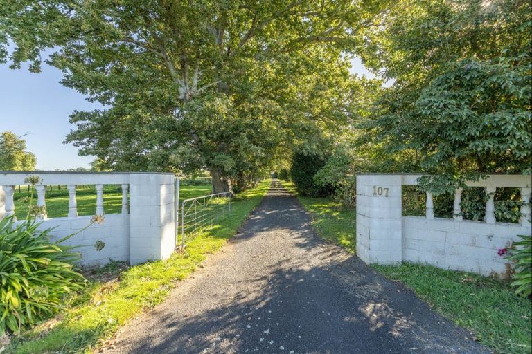 Photo of property in 107 Horrell Road, Morrinsville, 3374
