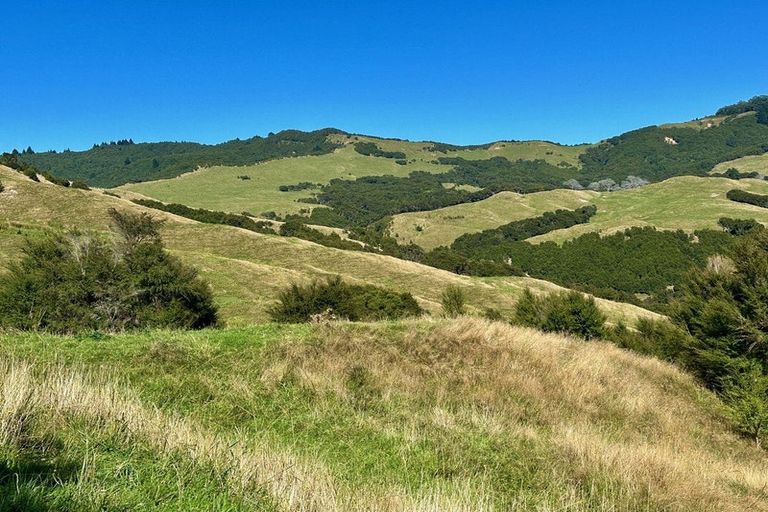 Photo of property in 397 Tuparoa Road, Ruatoria, 4082