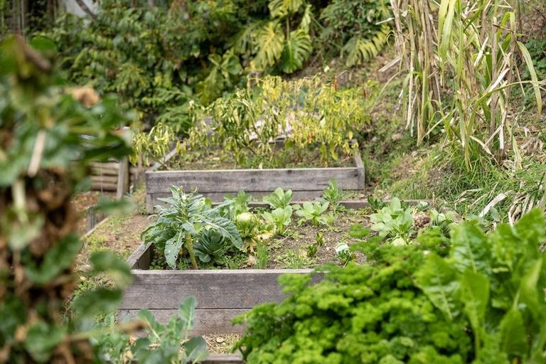 Photo of property in 116a Ridge Street, Otumoetai, Tauranga, 3110