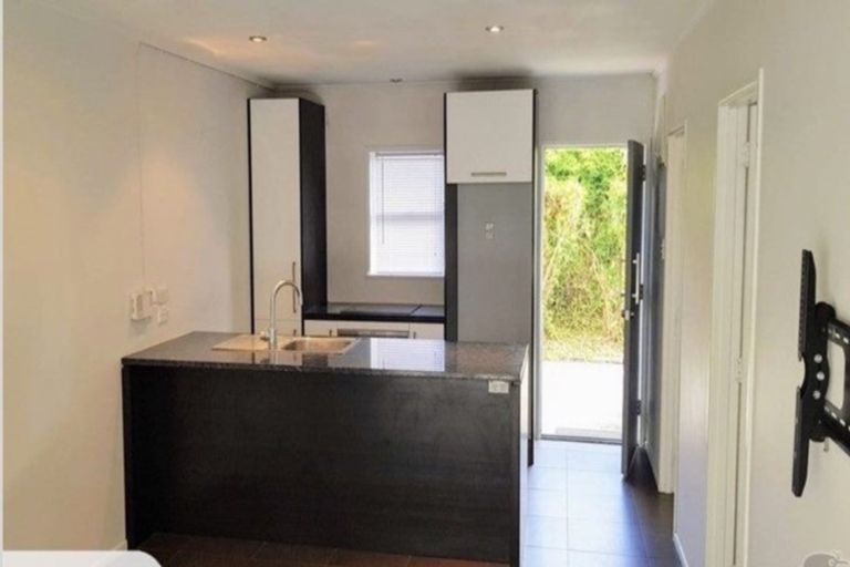 Photo of property in 13 Aitken Terrace, Kingsland, Auckland, 1021