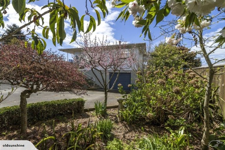 Photo of property in 48a Aranui Road, Mapua, 7005