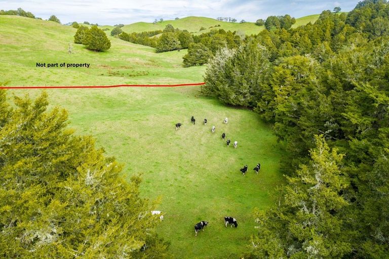 Photo of property in 1891 Pipiwai Road, Purua, Whangarei, 0176