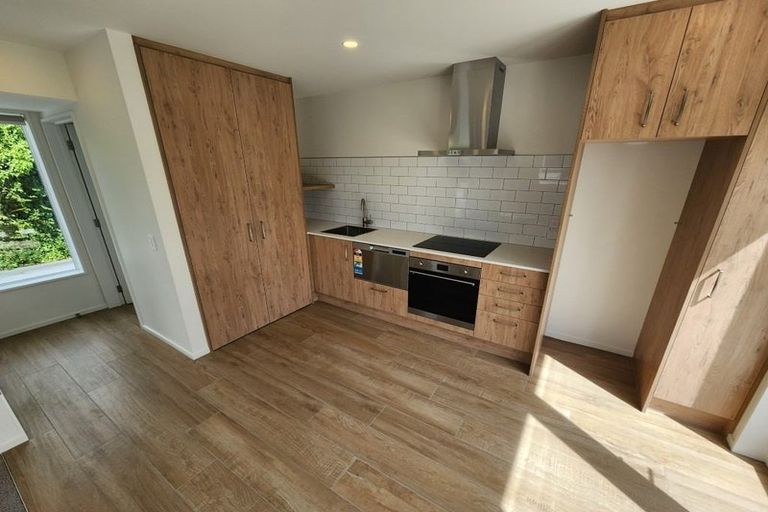 Photo of property in 84a Warden Street, Richmond, Christchurch, 8013