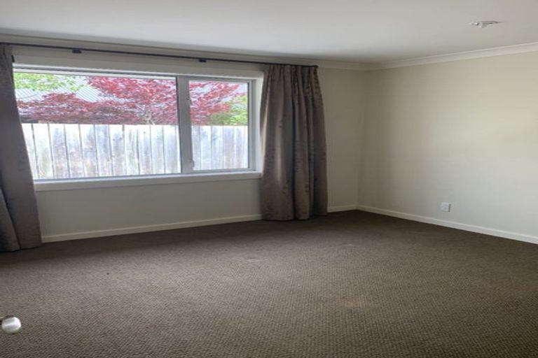Photo of property in 1 Main Road, Fairfield, Dunedin, 9018