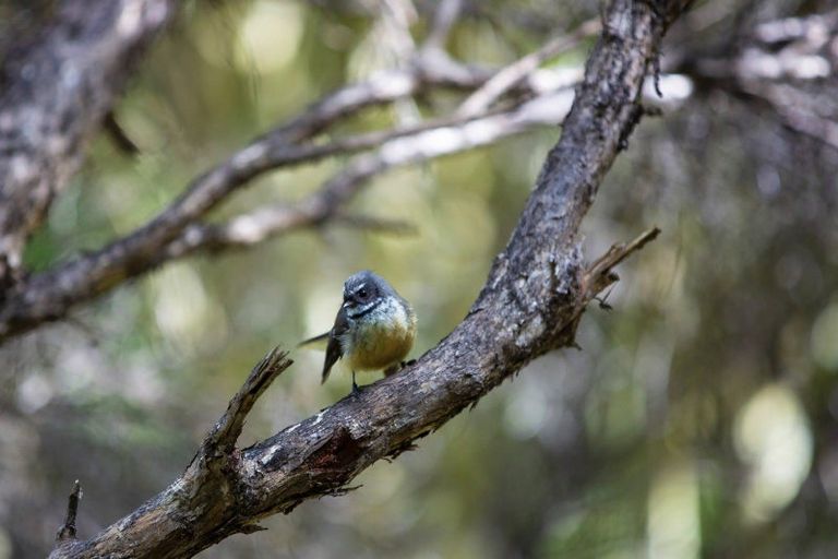 Photo of property in 1615 Whaanga Road, Raglan, 3296