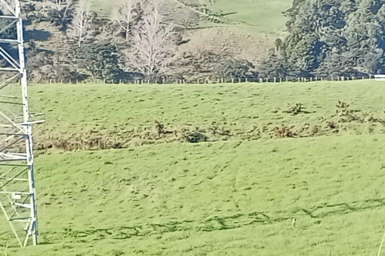 Photo of property in 1812 Kaipara Coast Highway, Kaukapakapa, 0984