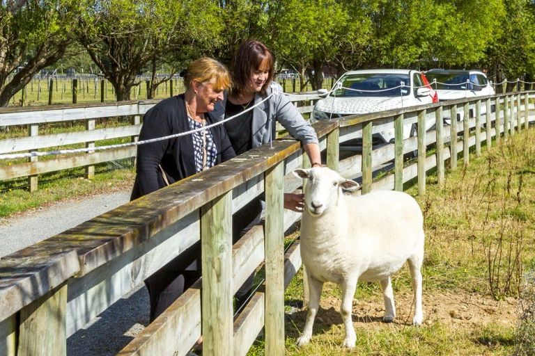 Photo of property in 18a Flux Road, Mangaroa, Upper Hutt, 5371