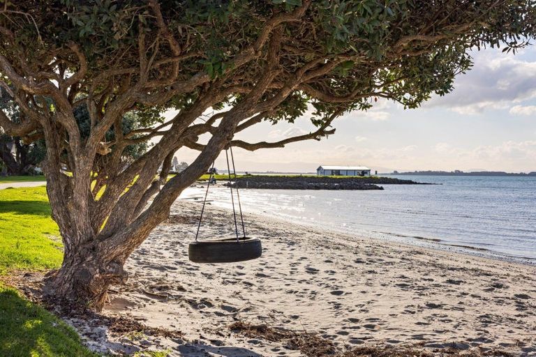 Photo of property in 81b Kulim Avenue, Otumoetai, Tauranga, 3110