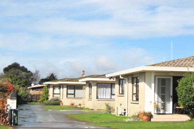 Photo of property in 207 Hapuka Street, Frimley, Hastings, 4120