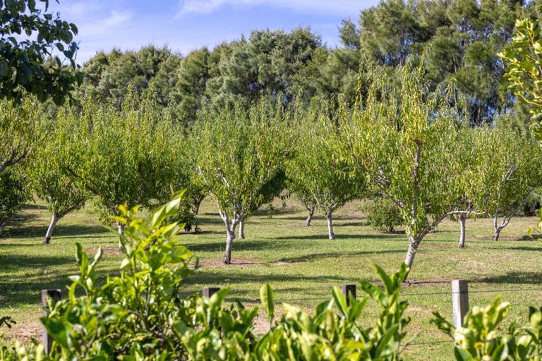 Photo of property in 136a Monarch-downs Way, Warkworth, 0982