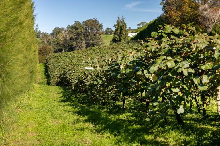 Photo of property in 394 Old Highway, Whakamarama, 3180