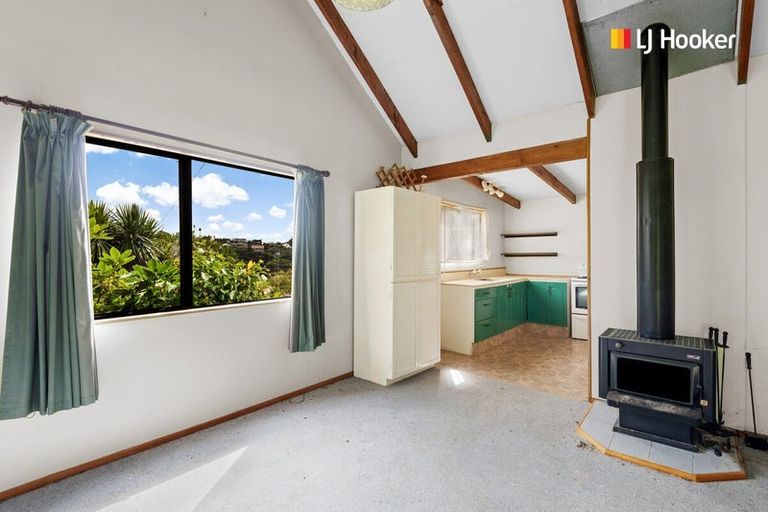 Photo of property in 24 Cooper Street, Mornington, Dunedin, 9011