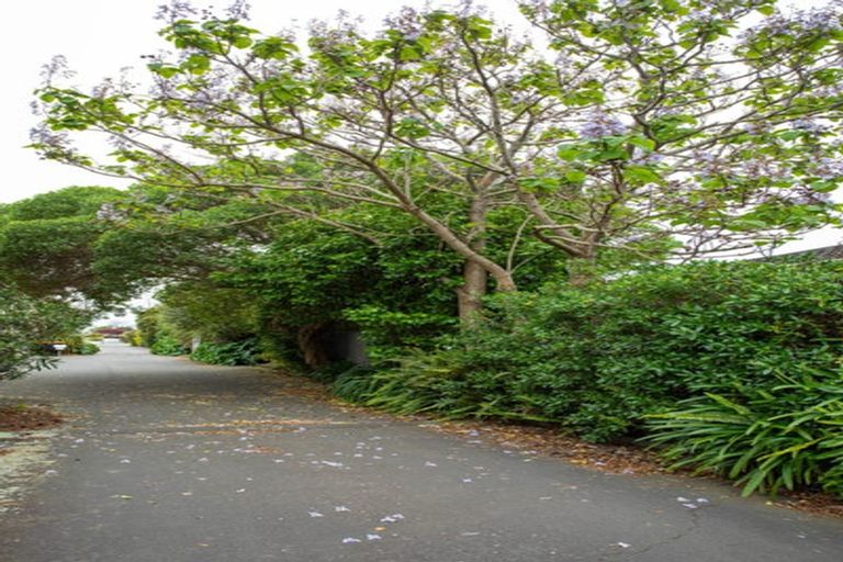 Photo of property in 13/520 Church Street, Palmerston North, 4410