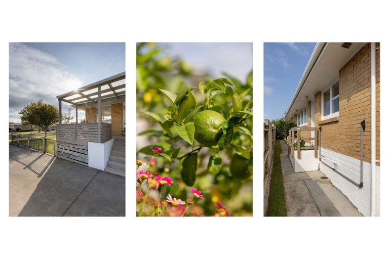 Photo of property in 7 Ngahere Street, Otumoetai, Tauranga, 3110