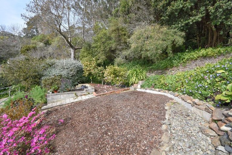 Photo of property in 8 Irvine Road, The Cove, Dunedin, 9077