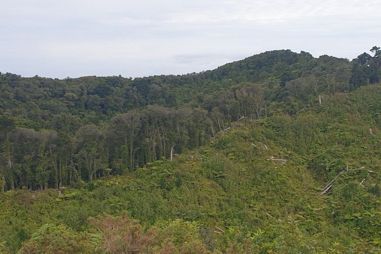 Photo of property in 308 Marsden Road, Greymouth, 7805