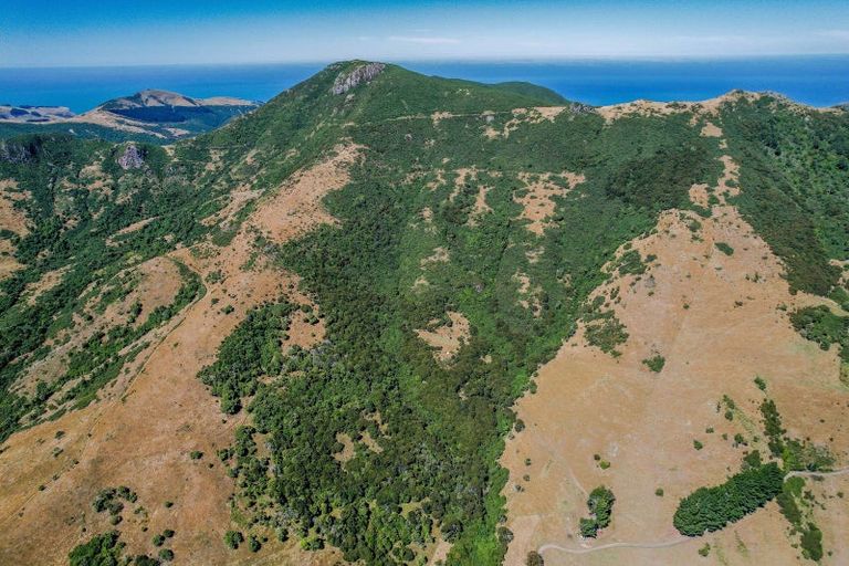 Photo of property in 141 Stony Bay Road, Akaroa, 7581