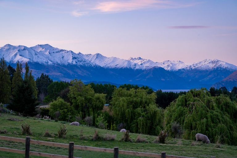 Photo of property in 56 Oak Lane, Wanaka, 9305