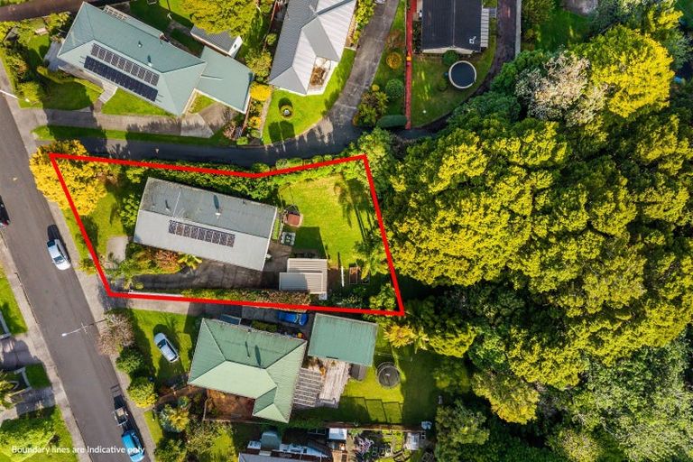 Photo of property in 17 Hillcrest Grove, Hillpark, Auckland, 2102