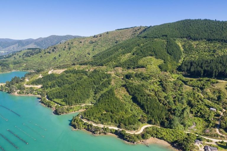 Photo of property in 4954 Kenepuru Road, Ohauparuparu Bay, Picton, 7282