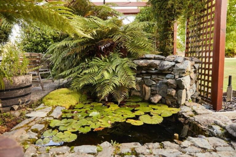 Photo of property in 423 Northbank Road, Kaituna, Blenheim, 7275