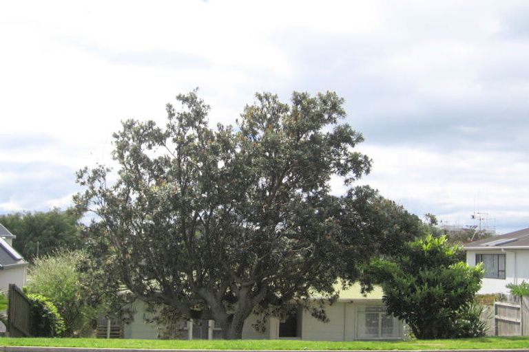 Photo of property in 137a Oceanview Road, Mount Maunganui, 3116