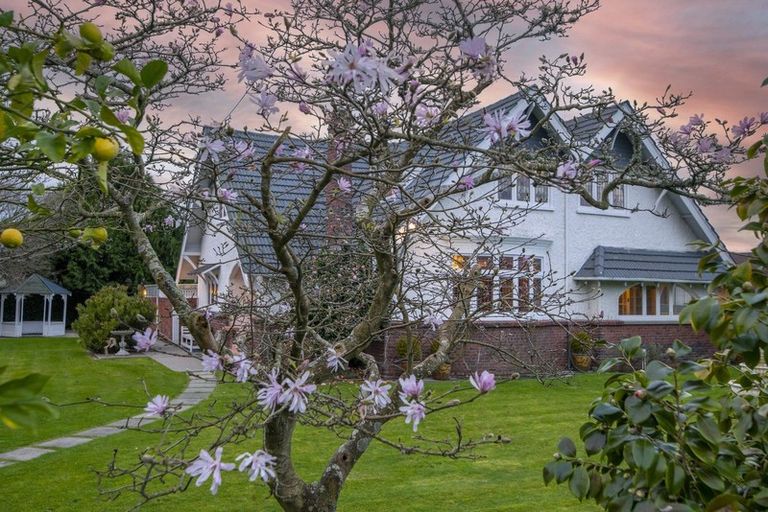 Photo of property in 58 Queen Street West, Levin, 5510