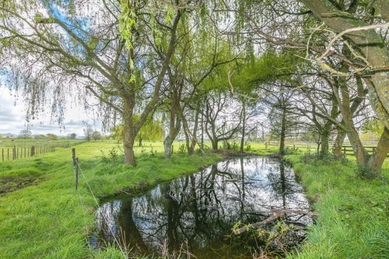 Photo of property in 45 Benn Road, Cambridge, 3495