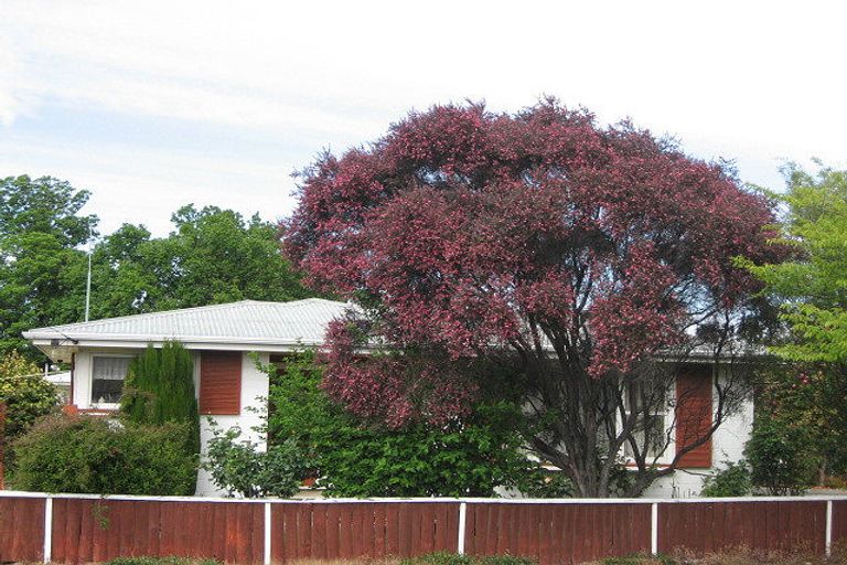 Photo of property in 16 Hiley Street, Springlands, Blenheim, 7201