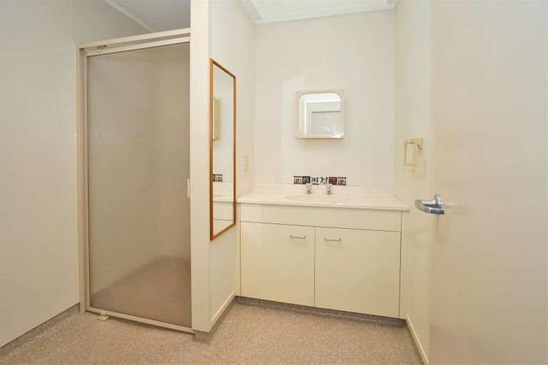 Photo of property in 101 Oakridge Grove, Flagstaff, Hamilton, 3210