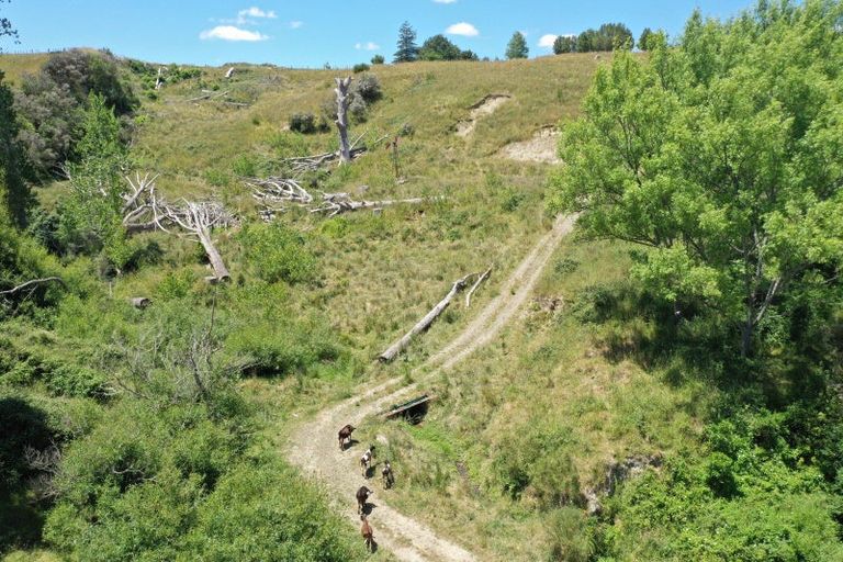 Photo of property in 400 Rakaiatai Road, Ormondville, Dannevirke, 4977