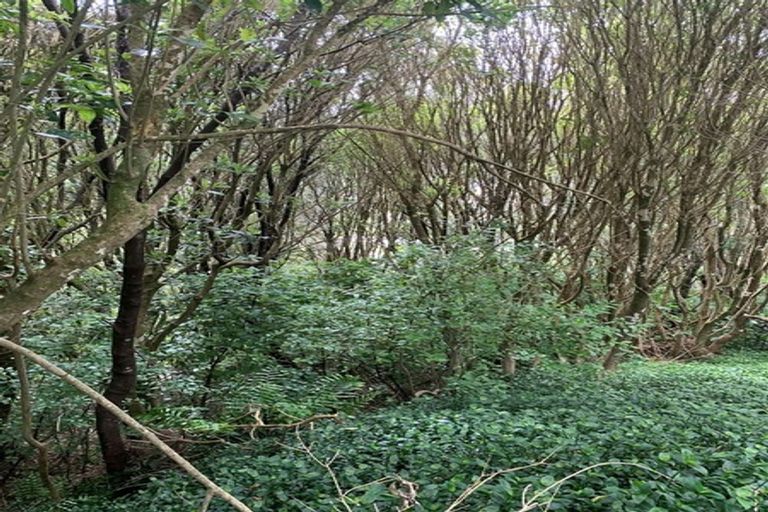 Photo of property in 27 Westhaven Drive, Tawa, Wellington, 5028