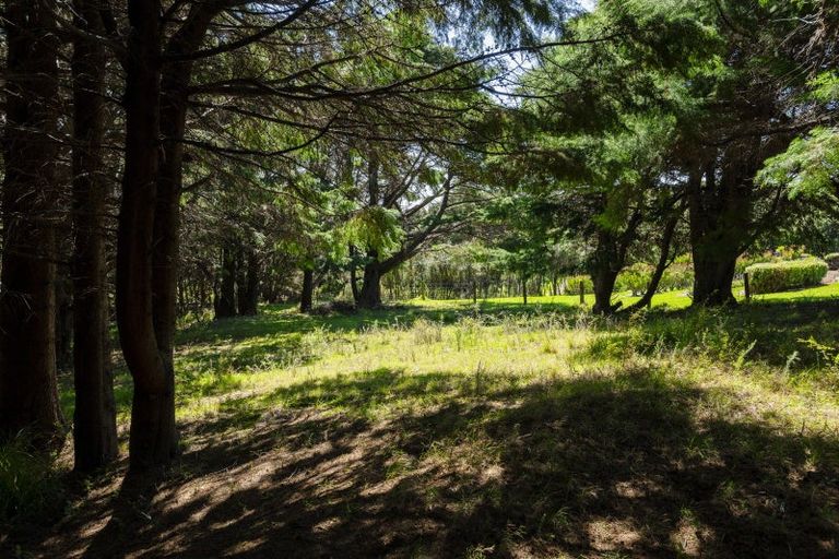 Photo of property in 5114 Te Araroa Road, Hicks Bay, Tikitiki, 4087